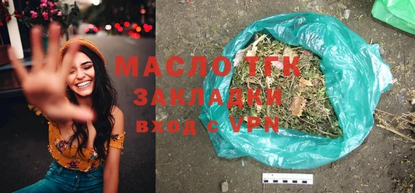 индика Мегион