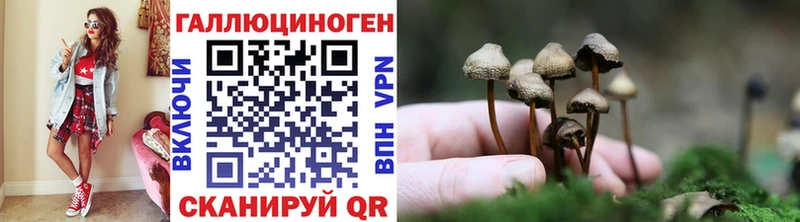 Псилоцибиновые грибы Psilocybine cubensis Черепаново